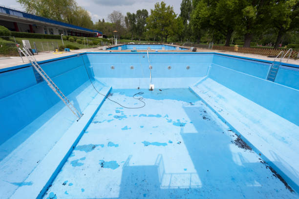 Best Water damage restoration specialists  in South Alamo, TX