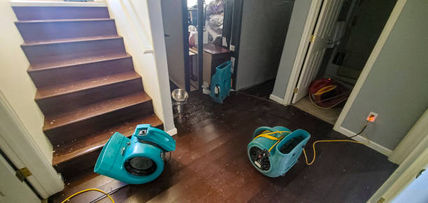  South Alamo, TX Water damage restoration Pros