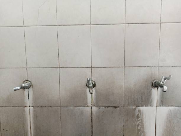 Best 24/7 water damage repair  in South Alamo, TX