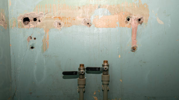Best Water damage cleanup near me  in South Alamo, TX