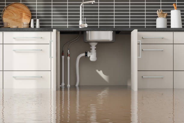 Best Flooded house restoration  in South Alamo, TX