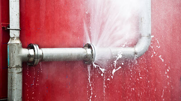 South Alamo, TX Water damage restoration Company
