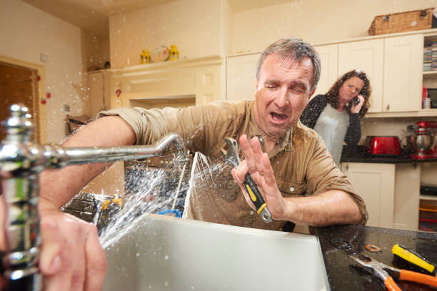 Best Mold removal after water damage  in South Alamo, TX